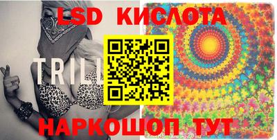 spice Камышлов