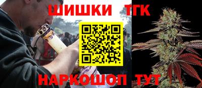 spice Камышлов