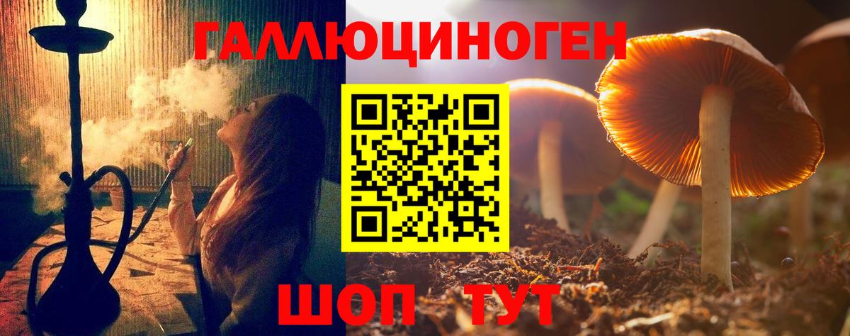 Галлюциногенные грибы Psilocybine cubensis Ульяновск