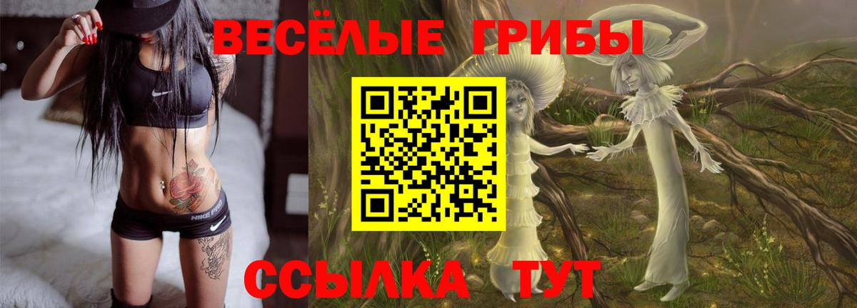 Ульяновск  купить закладку  Вход с VPN  Псилоцибиновые грибы мухоморы  Псилоцибиновые грибы Magic Shrooms 